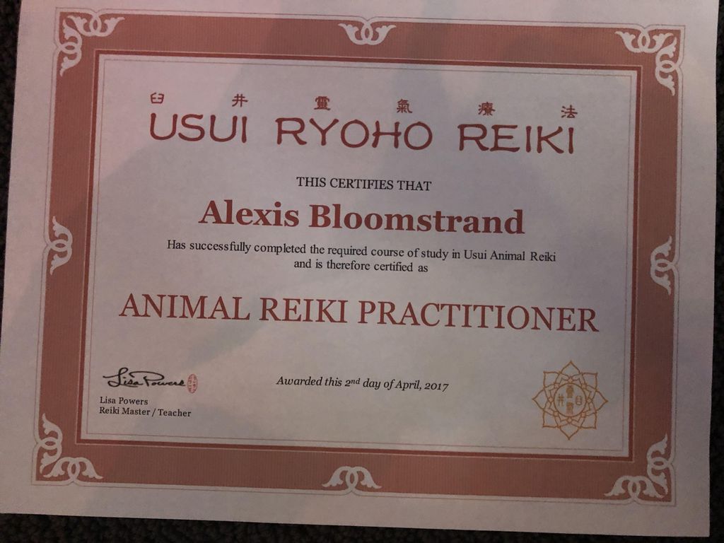 Animal Reiki Master Teacher certification 