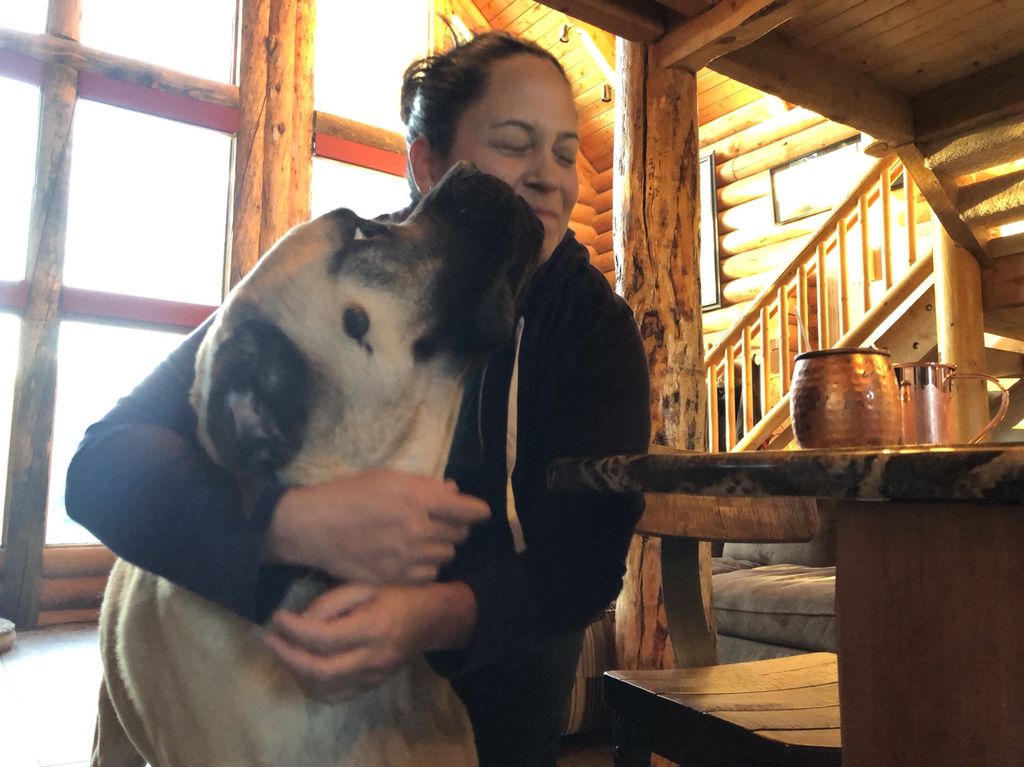 Big dogs small dogs we love them all