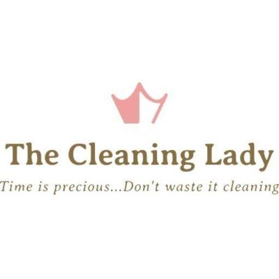 Avatar for The Cleaning Lady