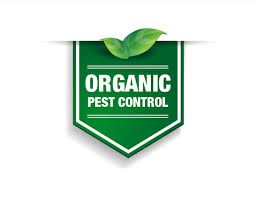 organic pest control