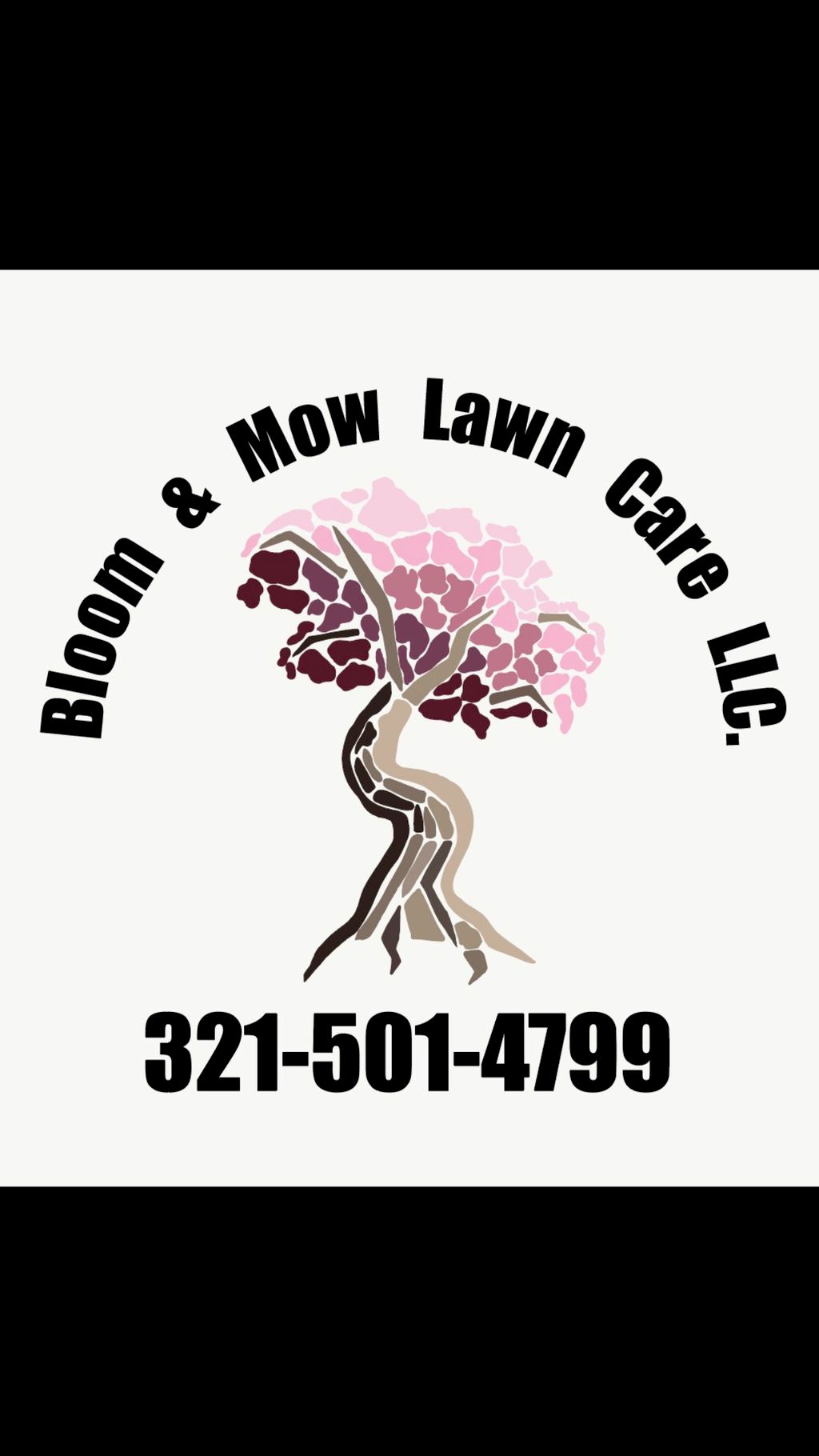 Bloom and Mow Lawn Care L.L.C
