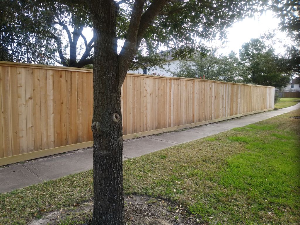 Cedar Fence w/Cedar cap