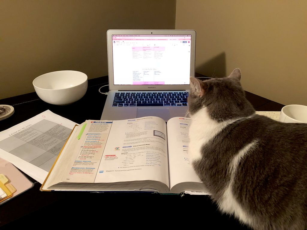 Working on lesson planning