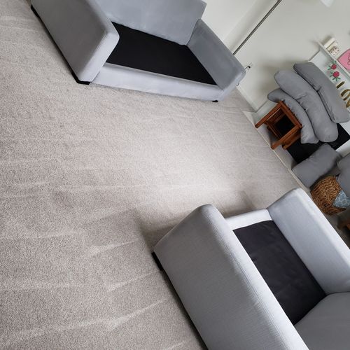 Furniture and carpets cleaning