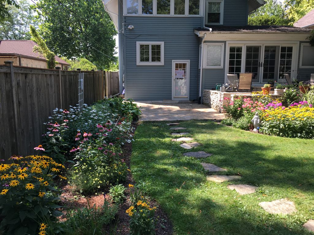 Backyard stone patio and planting