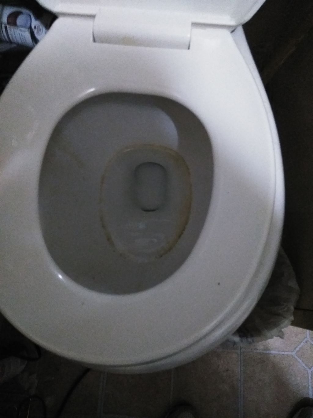 toilet before