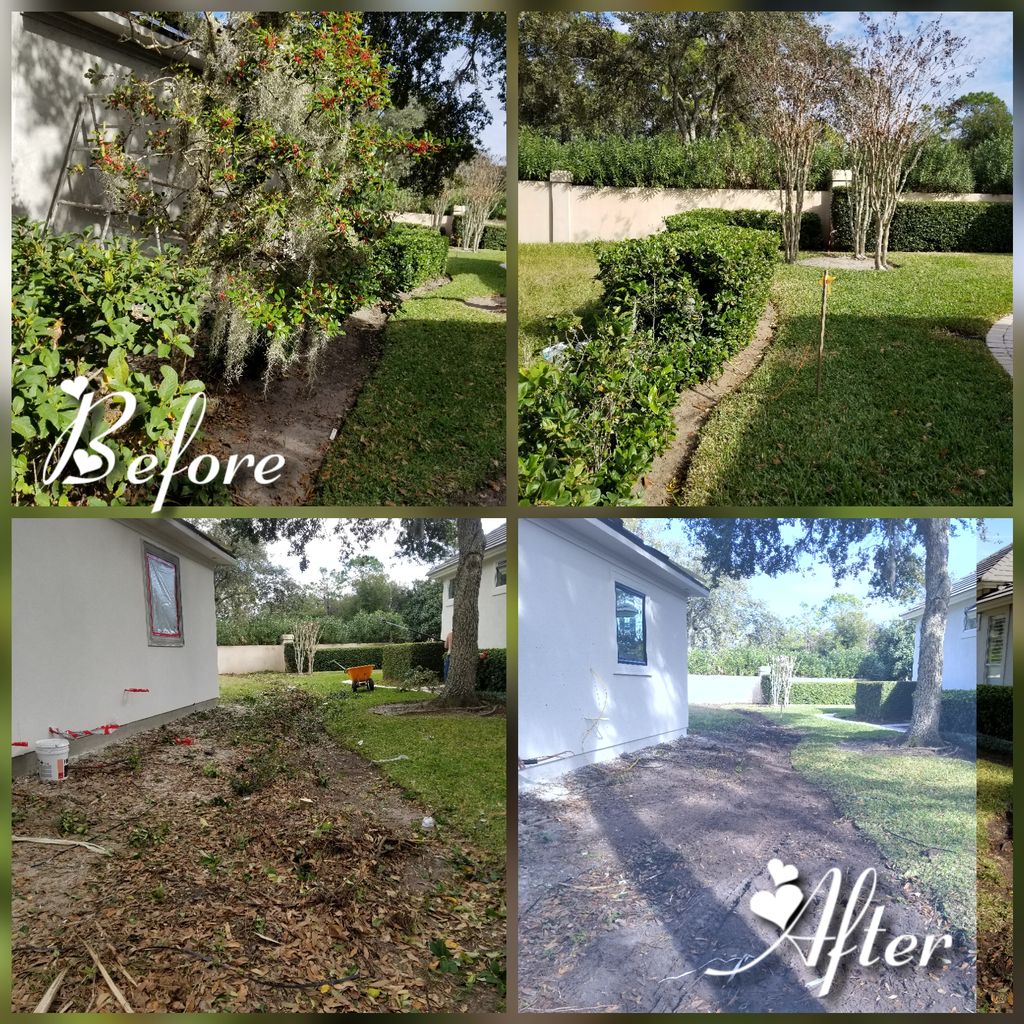 Shrub an Stump Removal 