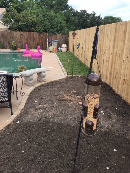 Customer photos