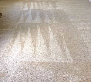 My carpets had heavy foot traffic and pet stains. 