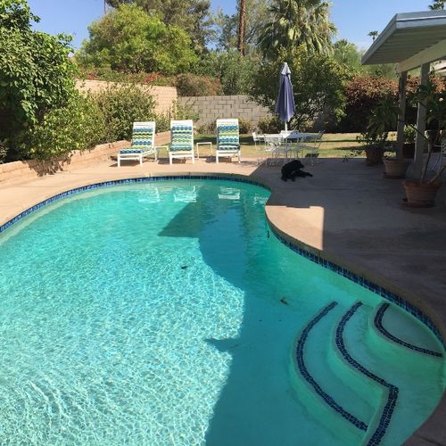 Claro Pool Service has been maintaining and cleani