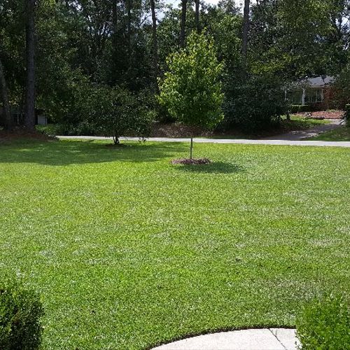 Removed old lawn, replaced with new sod....
Best l