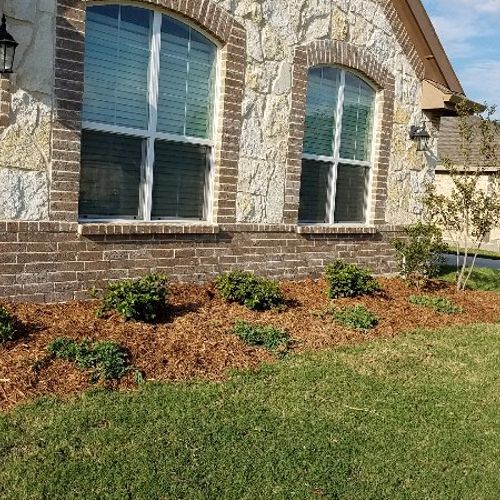 I had an awesome experience with L&S Lawn Maintena