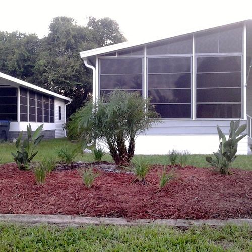Landscaping, trees removed. New palm added with sm