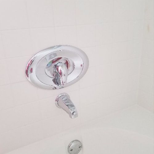 I had a two handle shower fixture converted to sin