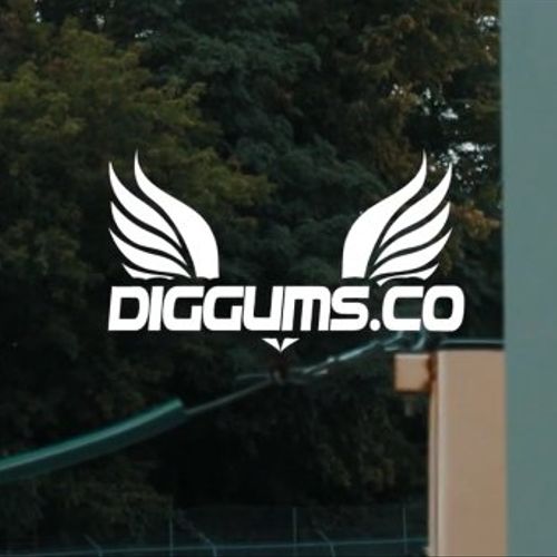 Diggums.co is the best place to go get a Video don