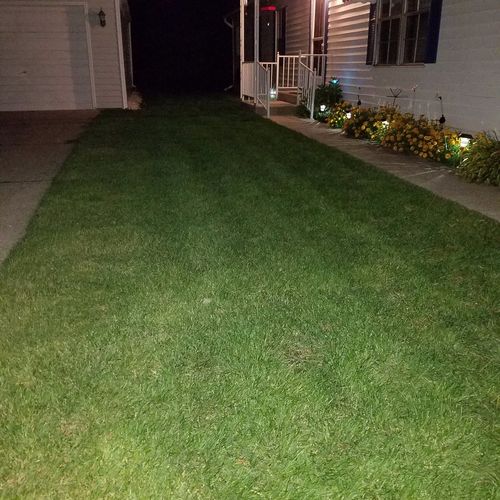 I have use used Ambien Lawn Care for several years