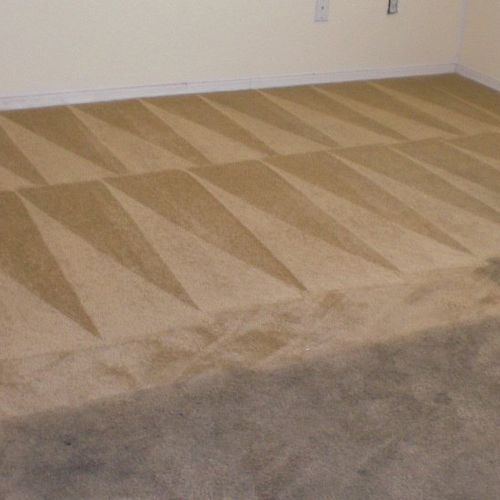 STOP RIGHT HERE!  YOU FOUND THE BEST CARPET CLEANE