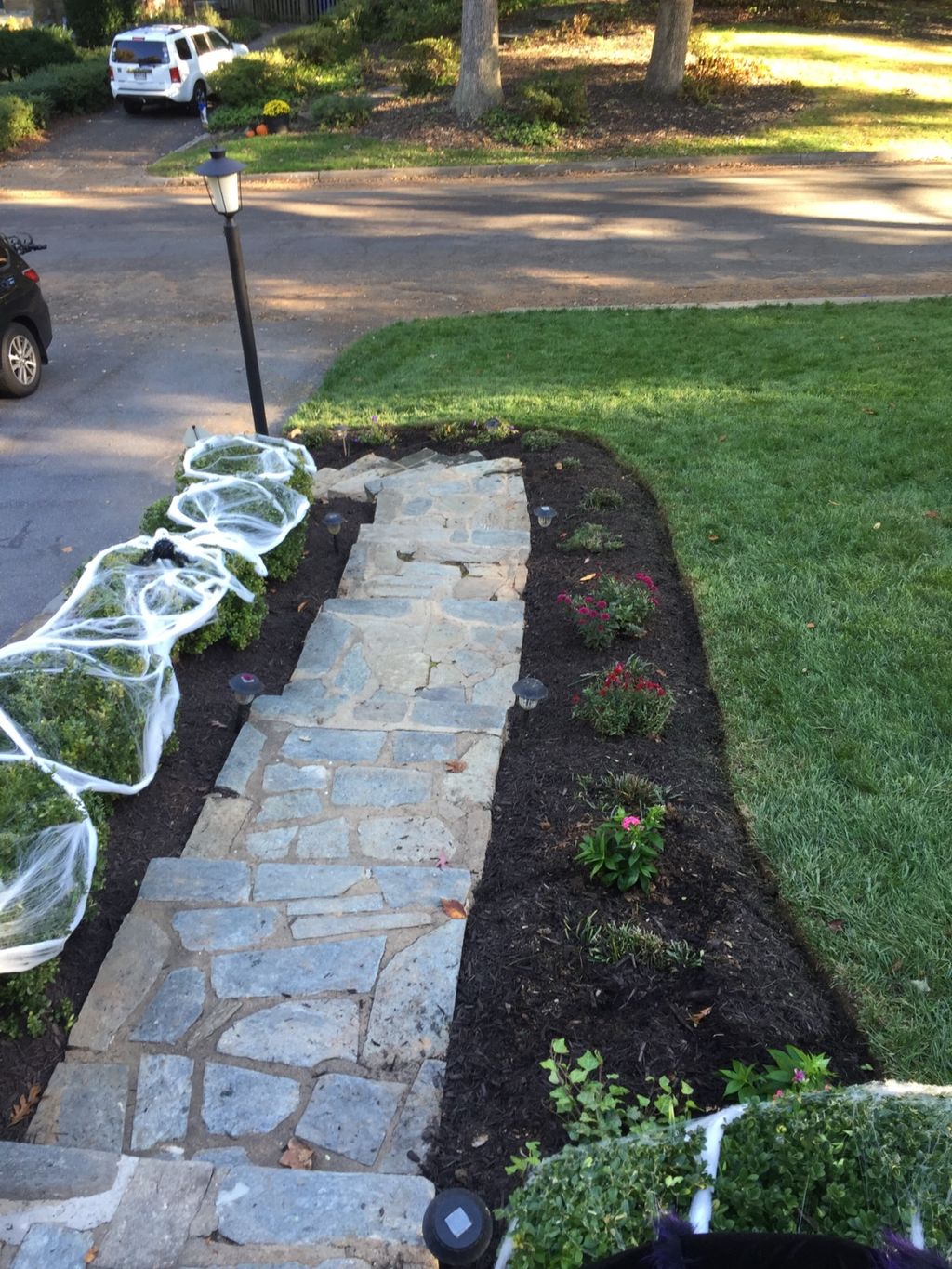 General yard cleaning, mulching, design, and new p