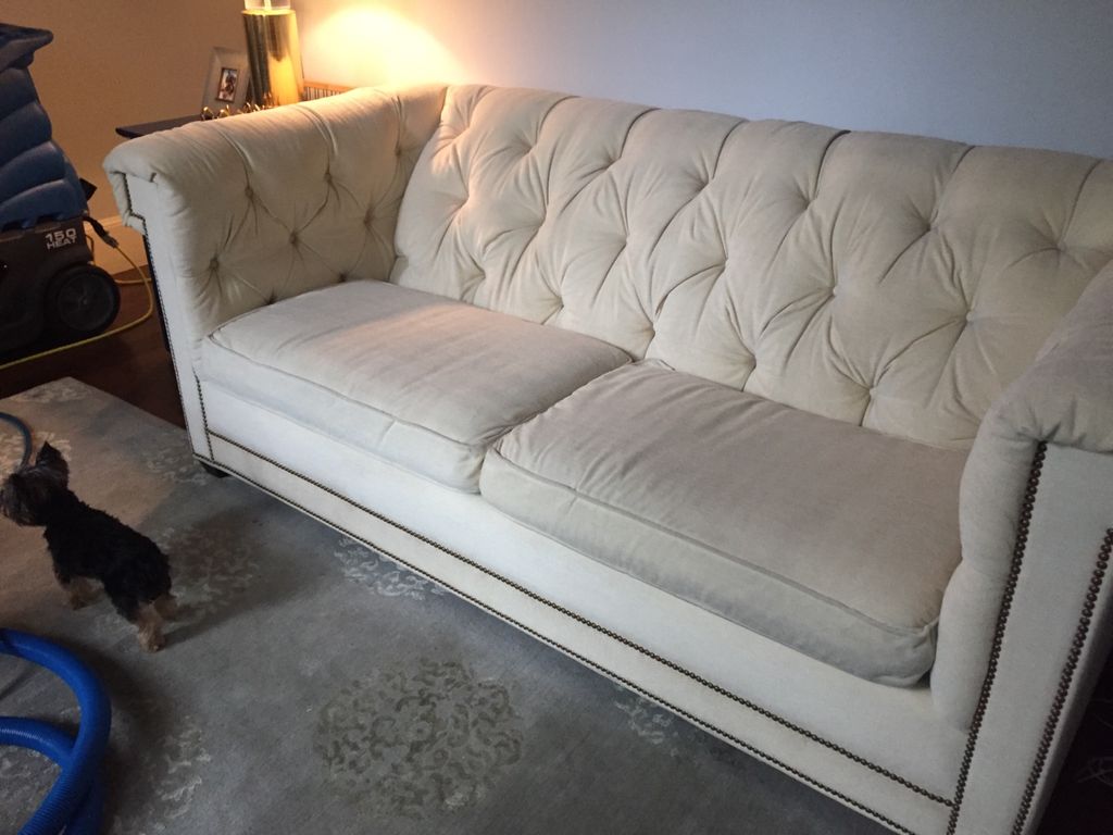 Customer photos