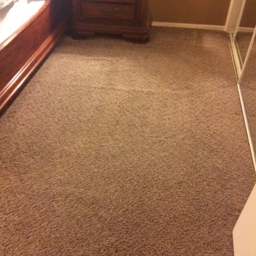I'm totally satisfied with clean touch carpet clea