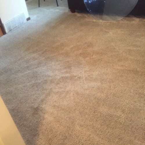 I got my carpet cleaned in two different areas, an