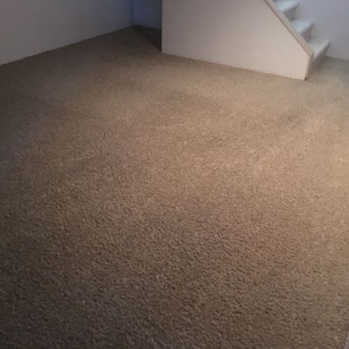 Professional and on time service. Made my carpets 