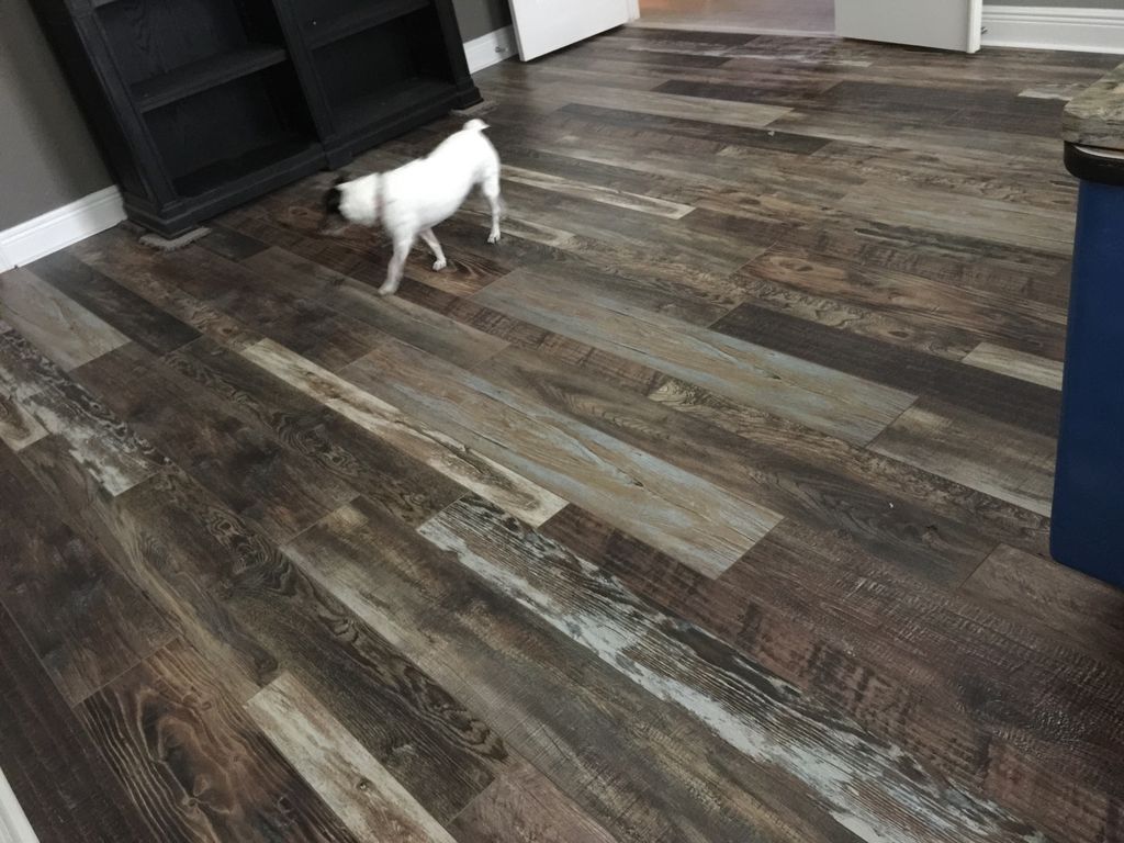 Customer photos