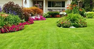 Excellent service. Very knowledgeable of landscapi