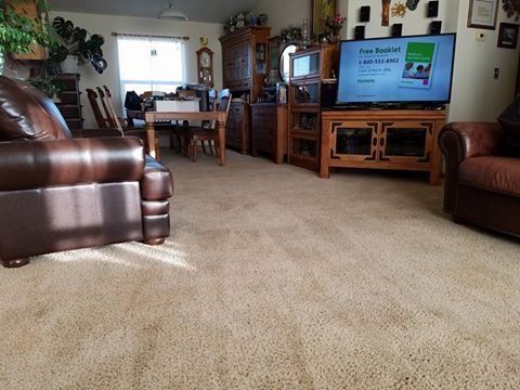 SuperShine Carpet Cleaning - THE VERY BEST CARPET 