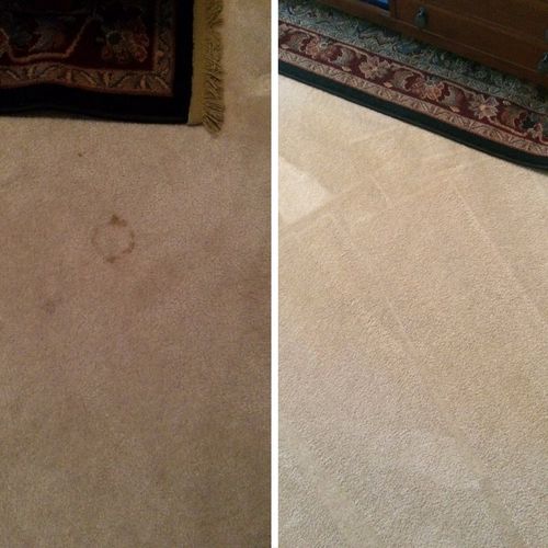 Antonio did a great job cleaning the carpet throug