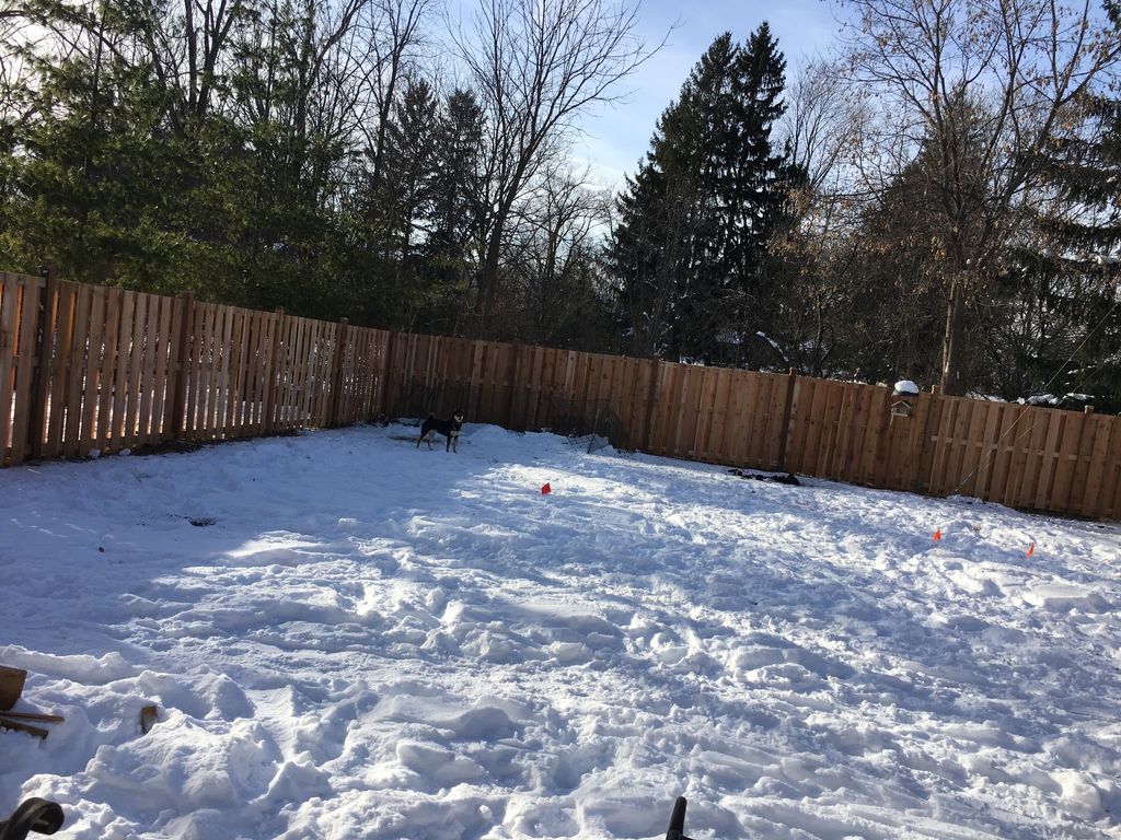 Customer photos