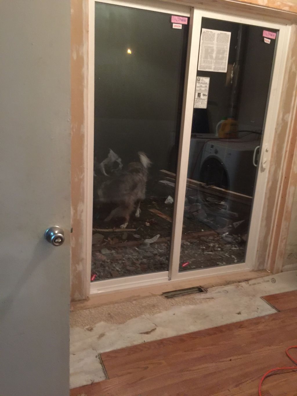 Customer photos