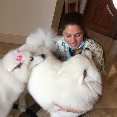 Amazing Dog Grooming service
Maria Mercedes is so 