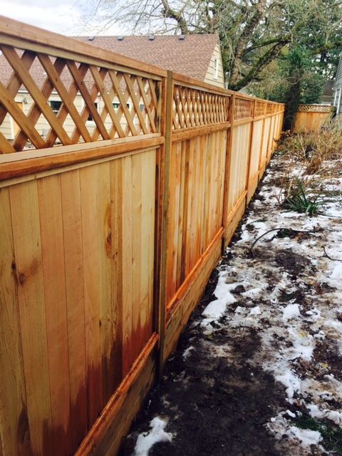Customer photos