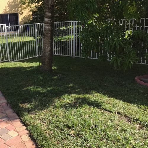Anr Landscaping Fort Lauderdale, FL Thumbtack