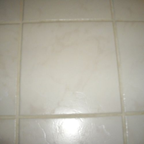 I needed my tiles and grout cleaned. I used Health