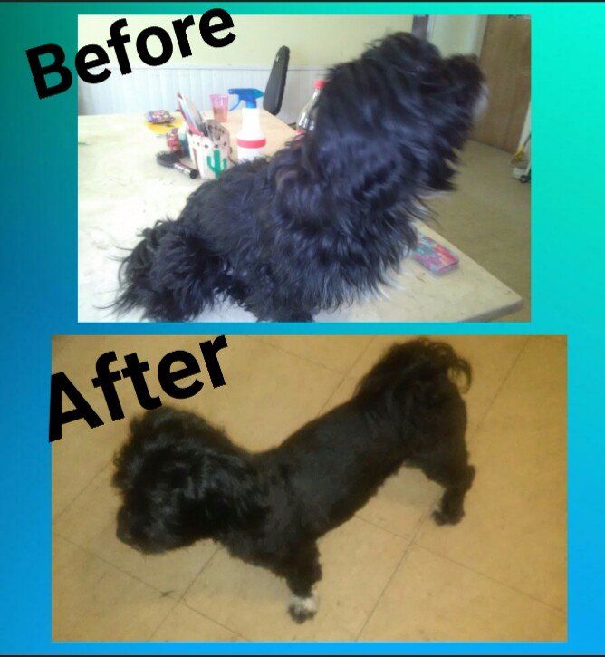 Customer photos