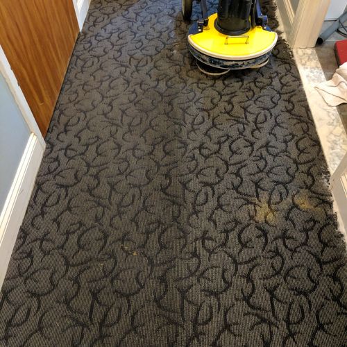 Our experience with Stayaway Cleaning has been not