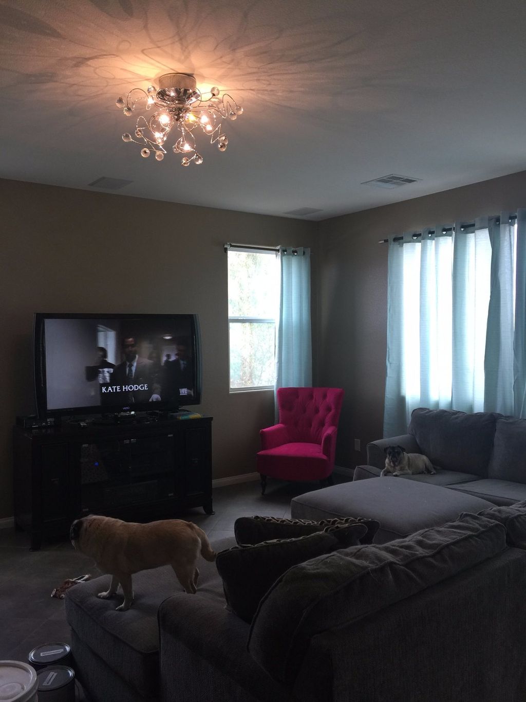 Customer photos