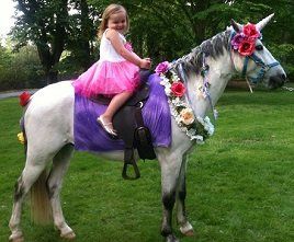 We LOVE Acres Away ponies! Our daughters had such 