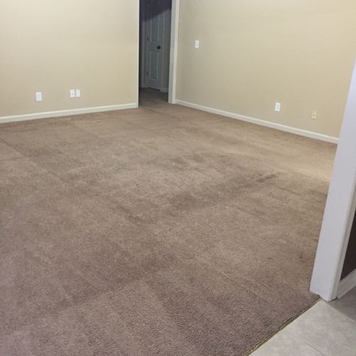Cleaned the carpets in my rental home for my move 