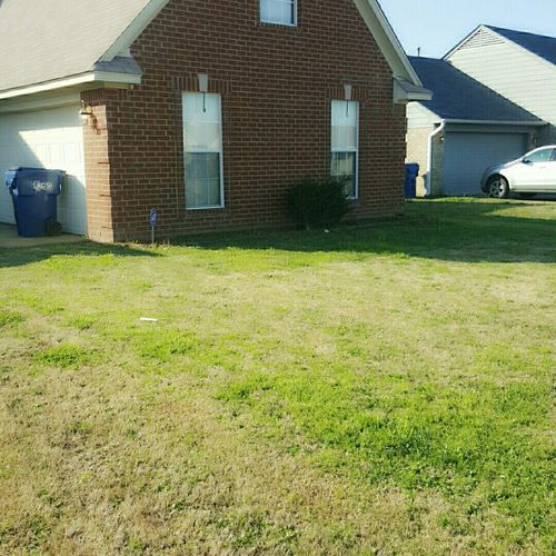 Grass was cut, weeded, edged, and blower.