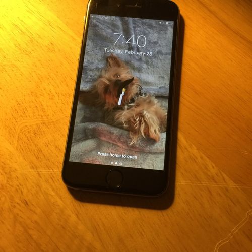 Dropped my iPhone by accident, screen stopped work