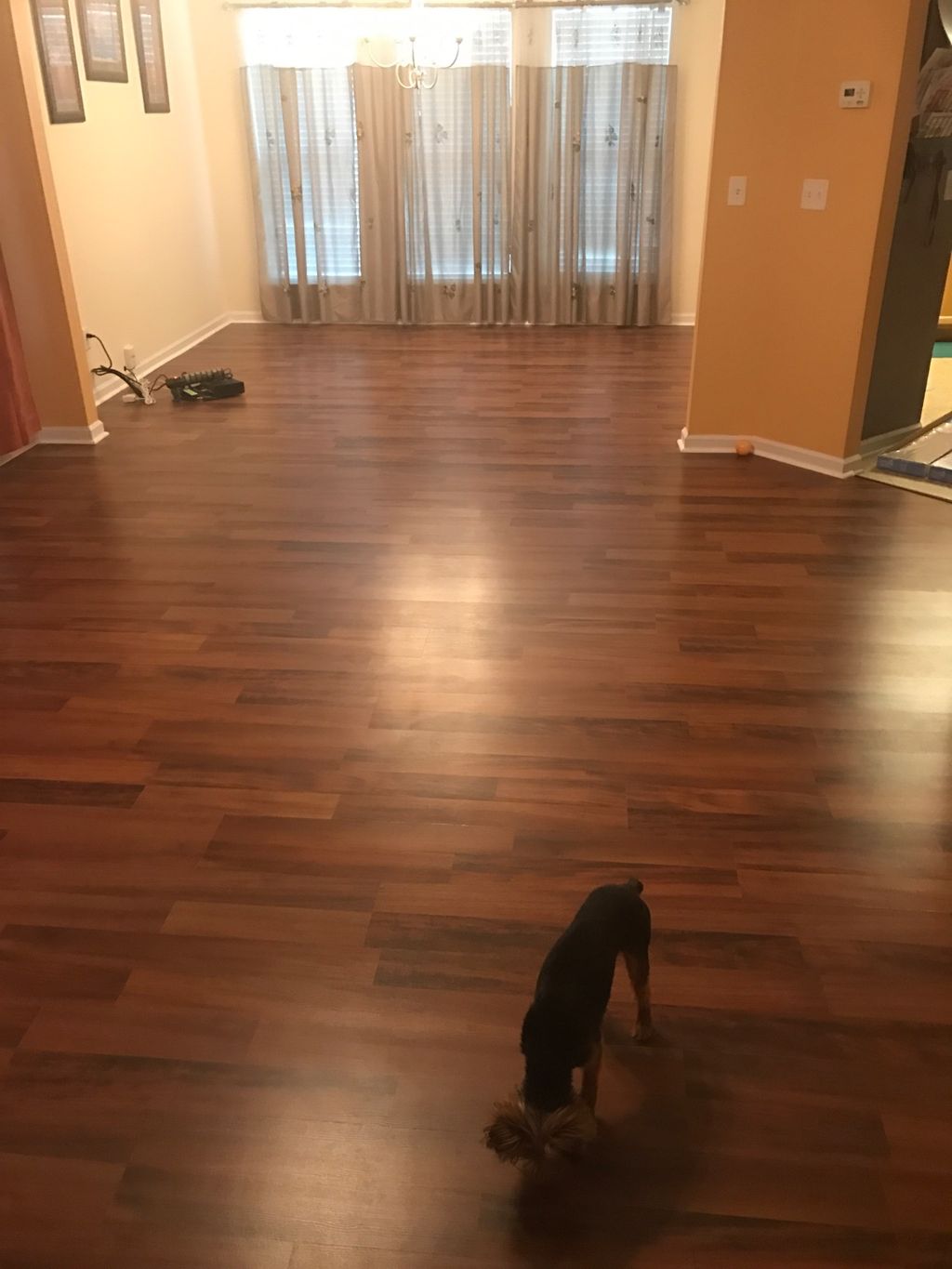 Customer photos