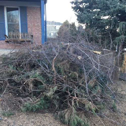 They picked up a brush pile.  I wasn't home, but t