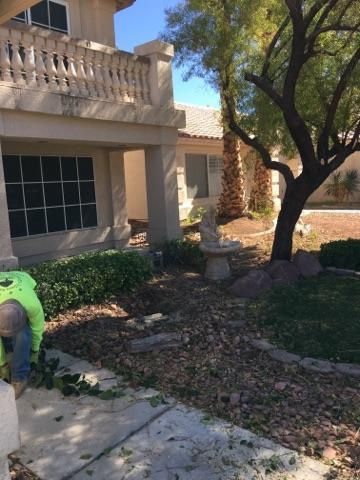 Customer photos