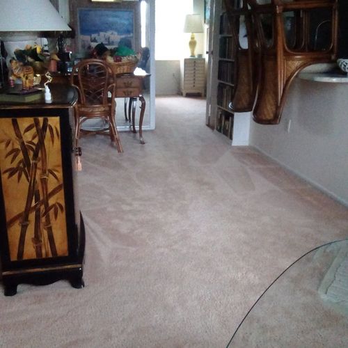 Best carpet cleaning ever!  The carpet looks like 