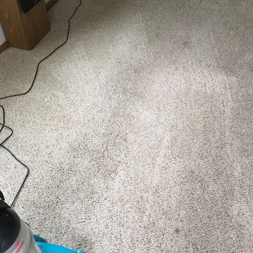I am so happy with these carpet cleaners. First th