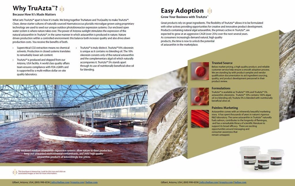 Projects and media
