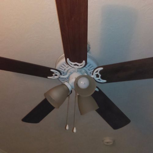 Colt replaced my outdated ceiling fan with a beaut